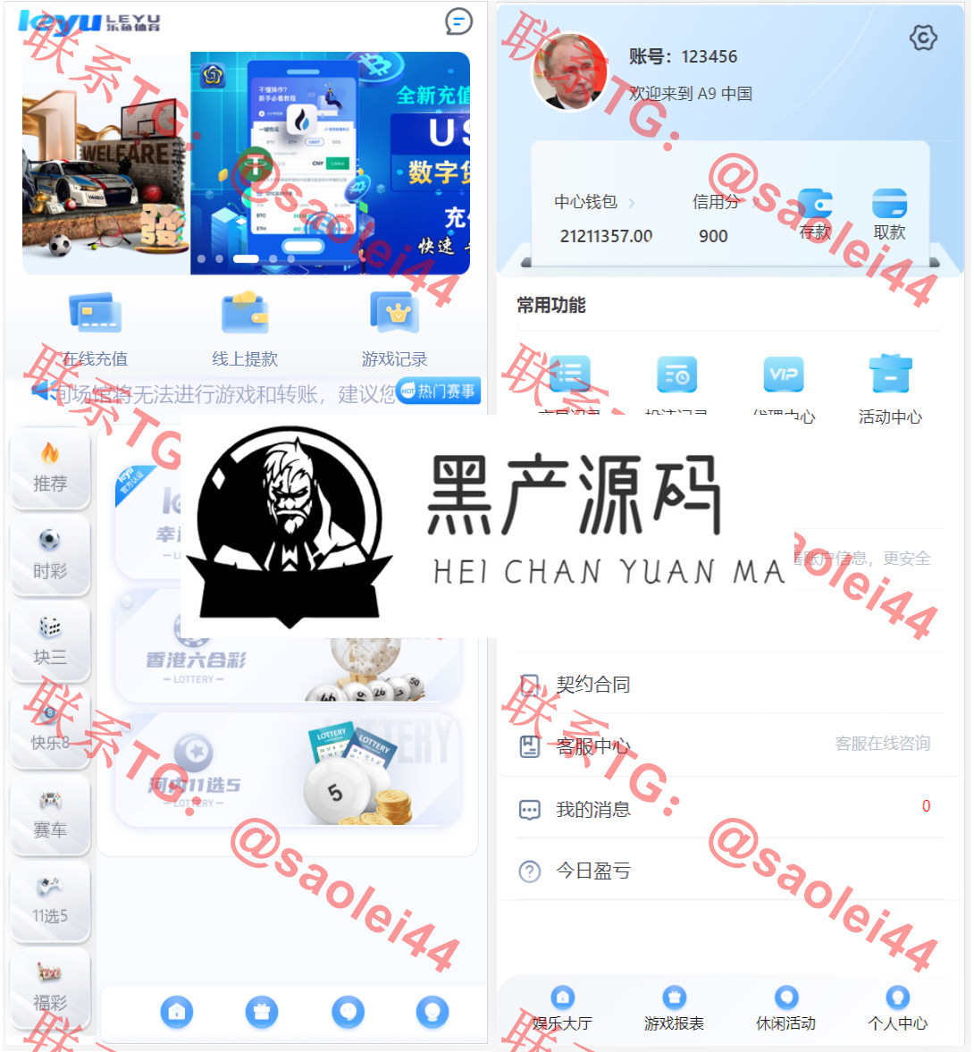 大富二开全新UI/高仿双赢迪士尼/简单权限控制/六合彩自动结算/修复版